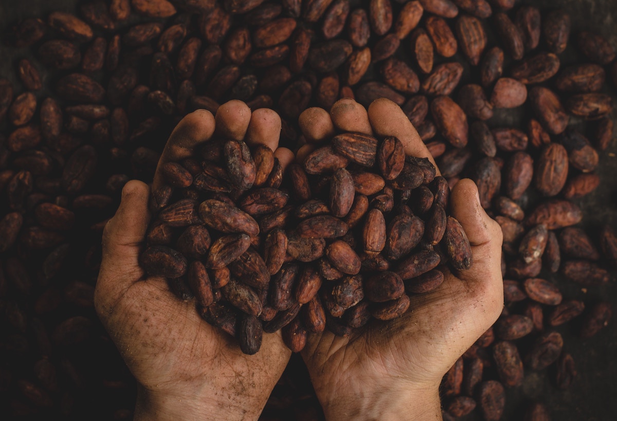 cacao superalimentos