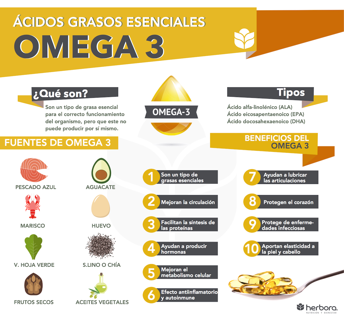 omega 3 infografía
