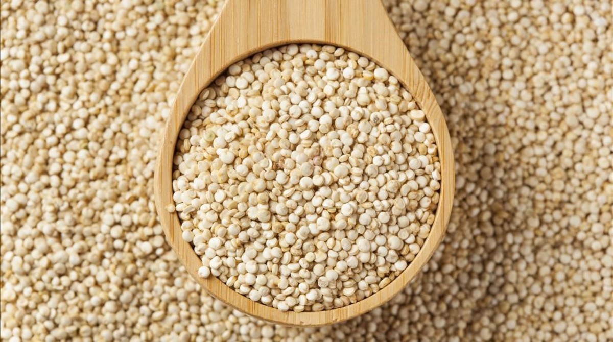 quinoa cereales sin gluten