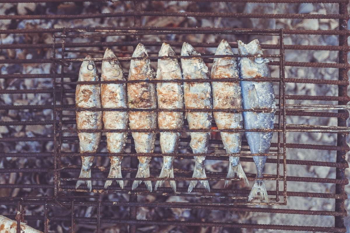 sardinas fosforo