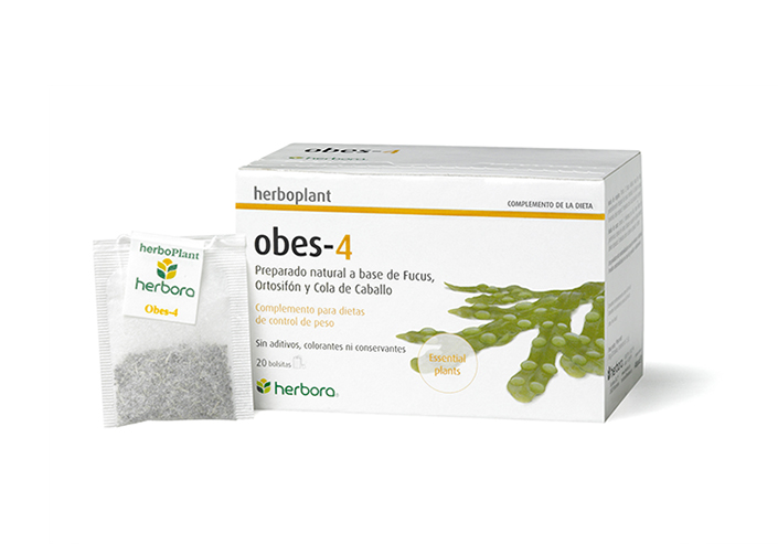 obes-4