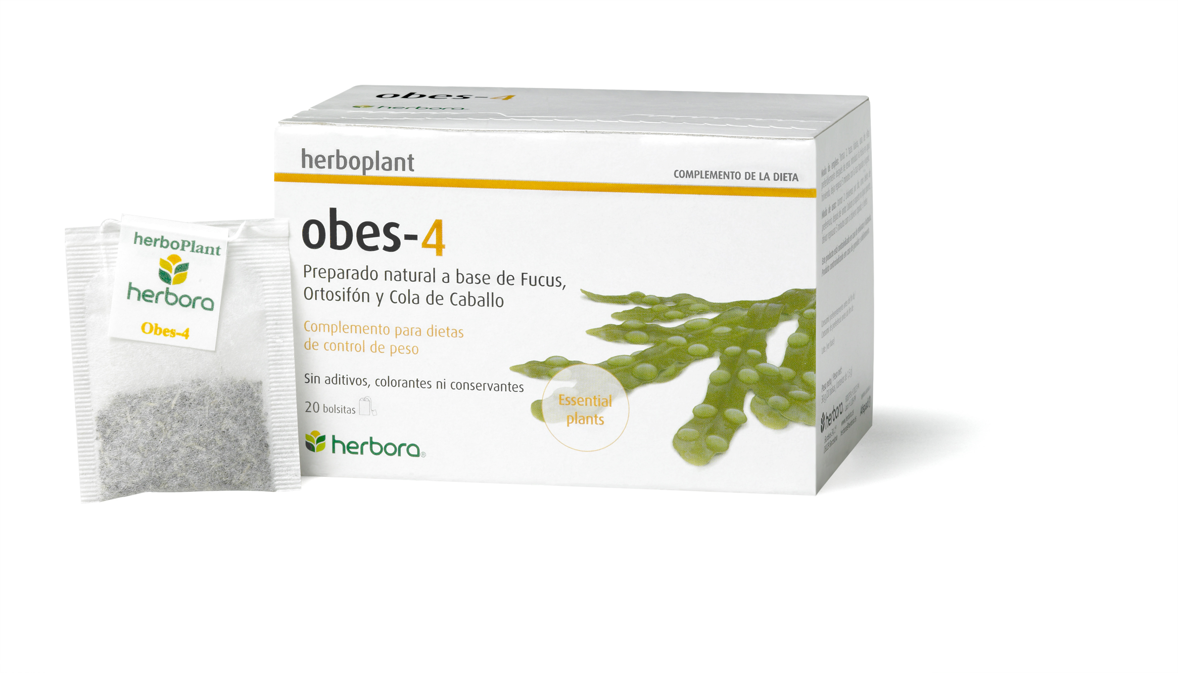 Obes-4